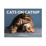 Cats on Catnip