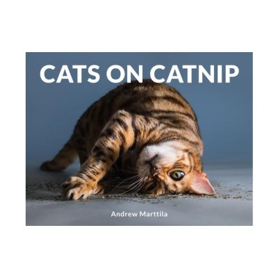Cats on Catnip foto
