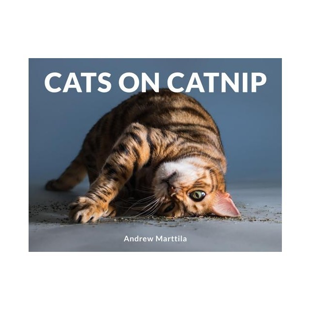 Cats on Catnip