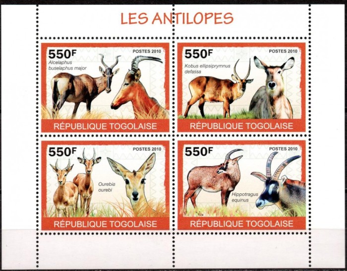 TOGO 2010, Fauna, serie neuzata, MNH