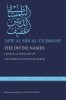The Divine Names: A Mystical Theology of the Names of God in the Qur&amp;#702;an