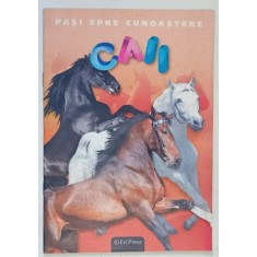 PASI SPRE CUNOASTERE , CAII , 2011