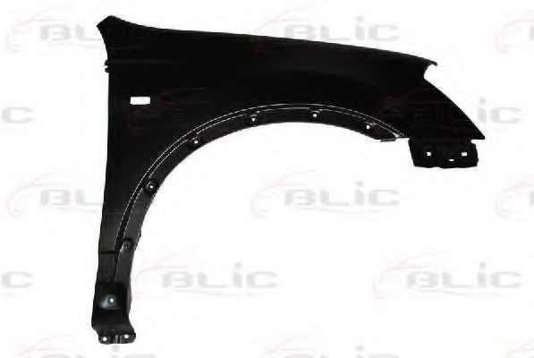 Aripa fata NISSAN QASHQAI / QASHQAI +2 (J10, JJ10) (2007 - 2013) BLIC 6504-04-1617312P