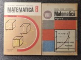 MATEMATICA GEOMETRIE + ALGEBRA MANUAL PENTRU CLASA A VIII-A Cuculescu, Craciunel