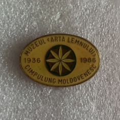 Insigna muzeul arta lemnului Câmpulung Moldovenesc