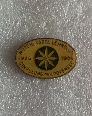 Insigna muzeul arta lemnului C&amp;acirc;mpulung Moldovenesc foto