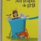 AM SCAPAT DE GRIJI de ANNA MAXTED , 2008 * MINIMA UZURA
