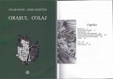 Colin Rowe, Fred Koetter - Orasul Colaj (Ed. Univ. Ion Mincu 2013, 186 pag.) urbanism arhitectura planificare urbana oras urbanismul collage city RARA