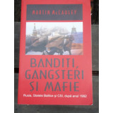 BANDITI, GANGSTERI SI MAFIE - MARTIN MCCAULEY