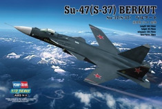 1:72 SU-47 (S-37) Berkut 1:72 foto