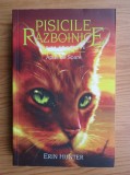 Erin Hunter - Apus de soare ( PISICILE RĂZBOINICE XII )