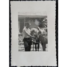 Fotografie, Barbati hranind caii, perioada interbelica