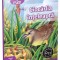 Ciocarlia Inteleapta, Esop - Editura Gama