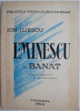 Eminescu in Banat &ndash; Ion Iliescu