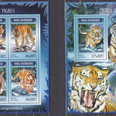 DB1 Fauna Mozambic Tigri MS + SS MNH