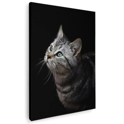 Tablou portret profil pisica gri pisici Tablou canvas pe panza CU RAMA 60x90 cm foto