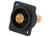 Adaptor BNC Soclu Aurit 19x24mm
