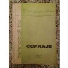 Tehnologii Tip Cofraje - M. Plesa , B121