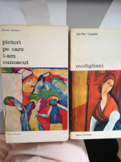 lot 2 carti pictori moderni Pictori pe care i-am cunoscut + Modigliani foto