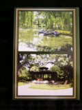 QW23 B - Carte postala - tematica turism - vedere - Romania - Buzau 12, Circulata, Fotografie
