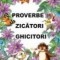Proverbe, zicatori, ghicitori