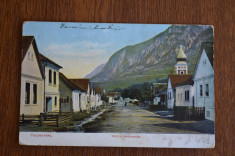 Pecinisca Pecseneska Caras Severin - Hauptstrasse Strada Centrala 1917 foto