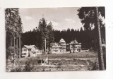 RF204 - Carte Postala - Borsec, circulata 1966