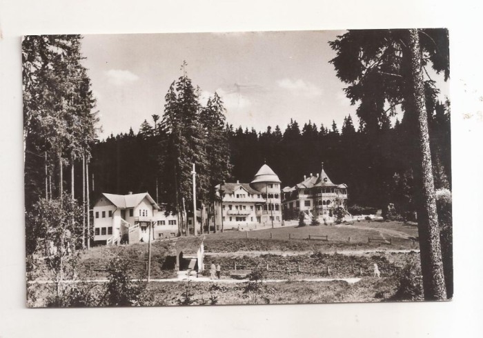 RF204 - Carte Postala - Borsec, circulata 1966