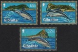 Gibraltar 2014 - Fauna marina, delfini, serie neuzata