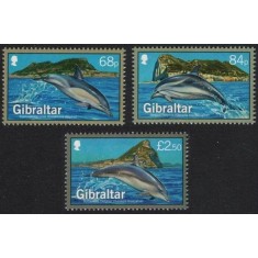 Gibraltar 2014 - Fauna marina, delfini, serie neuzata