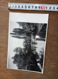 Cumpara ieftin FOTOGRAFIE VASILE SENCU - MUNTII ARINEI, CARASUL LA CARASOVA, CCA 1968
