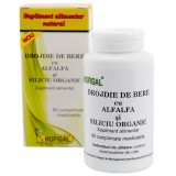 Drojdie Bere Alfaalfa &amp; Siliciu Organic Hofigal, 60 CPR Masticabile - Supliment Natural Energie, Piele, Unghii