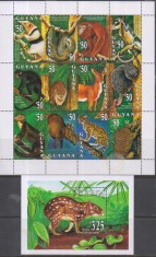 Timbre cu faună sudamericană din Guyana