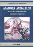 Anatomia animalelor. Sistemul circulator. Sistemul nervos - Constantin Spataru