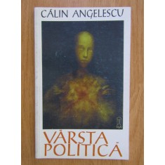 Calin Angelescu - Varsta politica