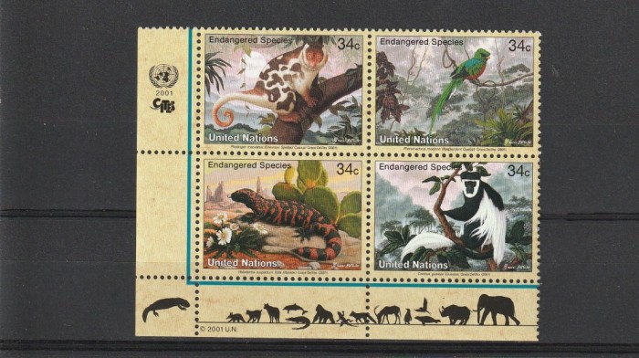 Fauna ,animale,posta americana ONU.