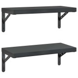 Cumpara ieftin Rafturi de perete, 2 buc., 50x23,5 cm, negru otel inoxidabil