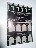 CASE ,CONACE SI PALATE VECHI ROMANESTI -CORINA NICOLESCU