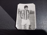 Foto Bujor Halmageanu