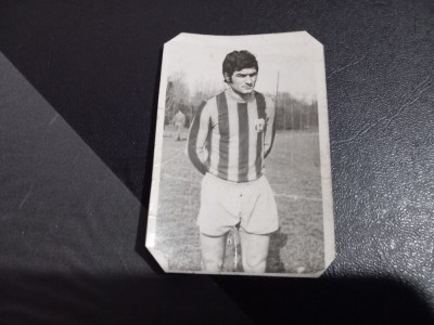 Foto Bujor Halmageanu foto