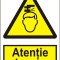 Indicator Atentie la cap - Semn Protectia Muncii