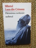 Patimirea curateste sufletul - Sfantul Luca din Crimeea