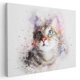 Tablou canvas animale portret pisica acuarela multicolor 1177 Tablou canvas pe panza CU RAMA 70x100 cm