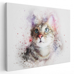 Tablou canvas animale portret pisica acuarela multicolor 1177 Tablou canvas pe panza CU RAMA 60x80 cm