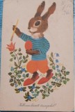 Carte postala, Felicitare cu un iepuras, germana, 1965