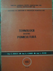 TEHNOLOGII PENTRU POMICULTURA - C. ROSCA, E. CARDEI, L. PETRE foto