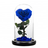 Cumpara ieftin Trandafir Criogenat albastru inima &Oslash;8cm in cupola 10x20cm