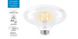 Bec led philips wiz g125 e27