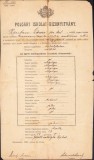 A1838 Certificat școlar, 1904, Caransebeș