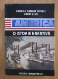 America, O istorie narativa, vol. 1 / George Brown Tindall David E. Shi